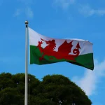 Welsh Flag